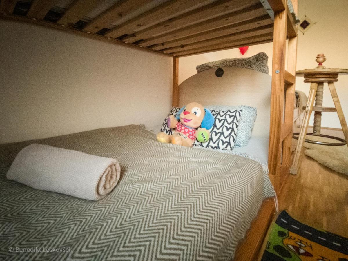 Panorama Glamping Visole Hotel Slovenska Bistrica Eksteriør billede