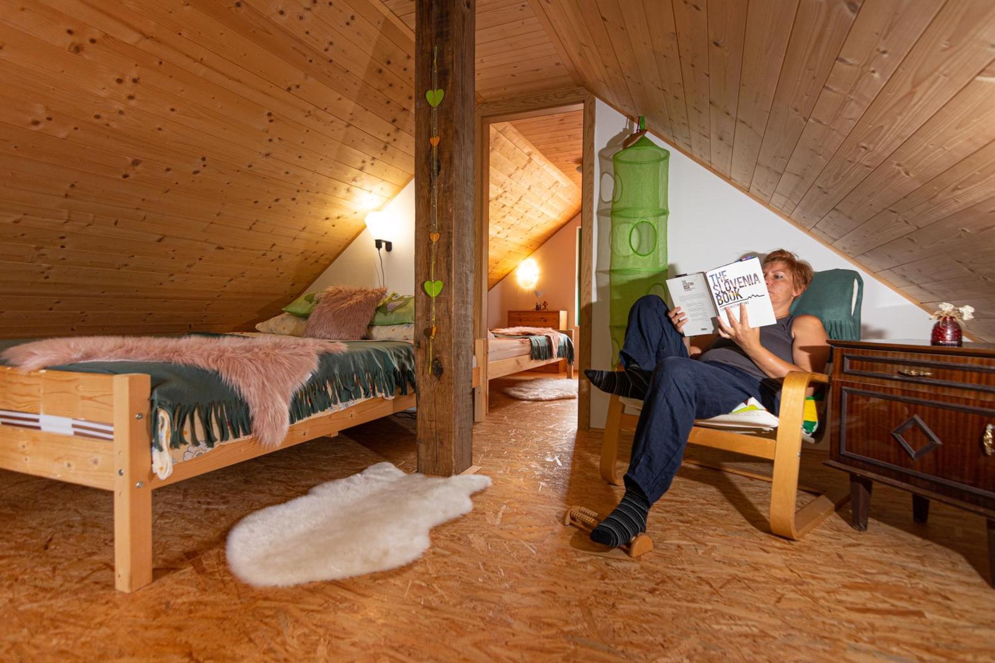 Panorama Glamping Visole Hotel Slovenska Bistrica Værelse billede