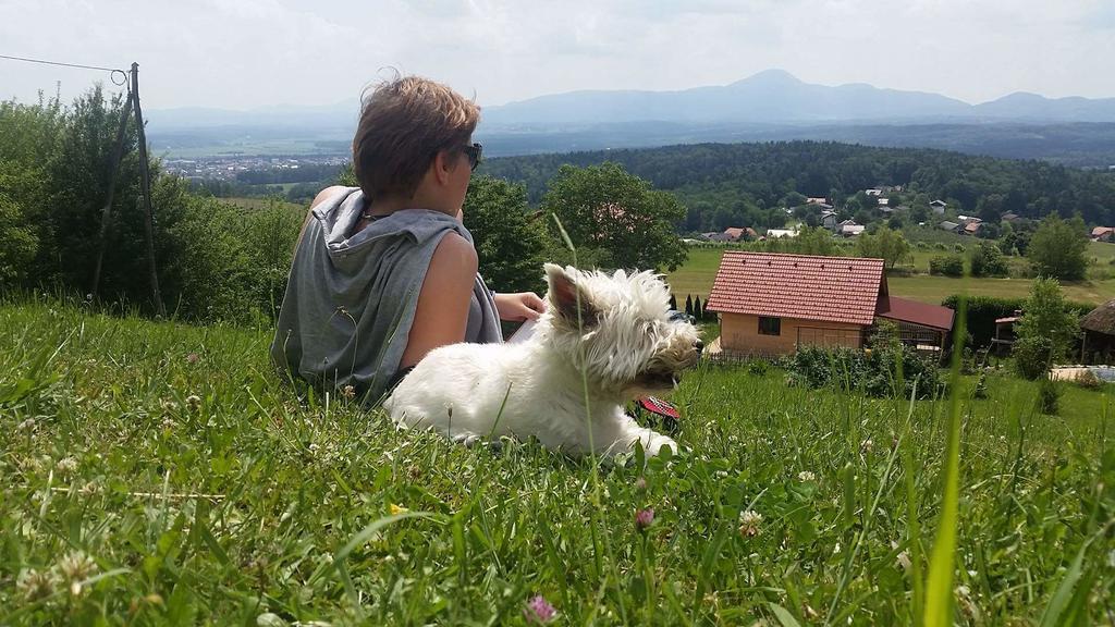 Panorama Glamping Visole Hotel Slovenska Bistrica Eksteriør billede